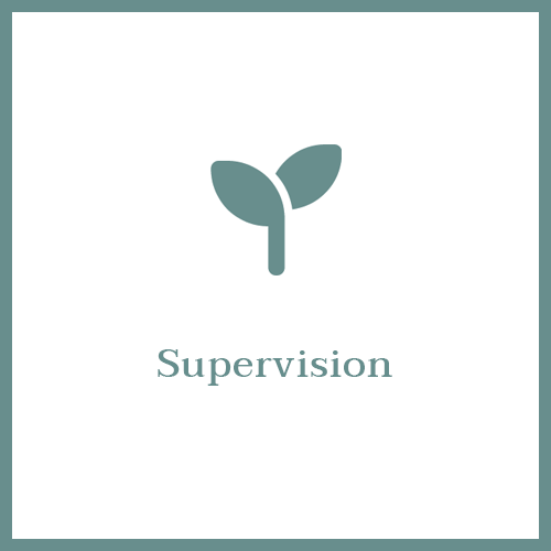 Supervision